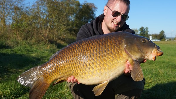 5 Boilie Tipps Für Karpfenangler