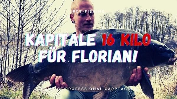 Florian fängt kapitalen 16 Kilo Spiegler! - Carpify