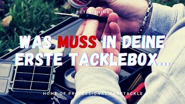 Meine erste Tackle Box - Was muss rein? - Carpify