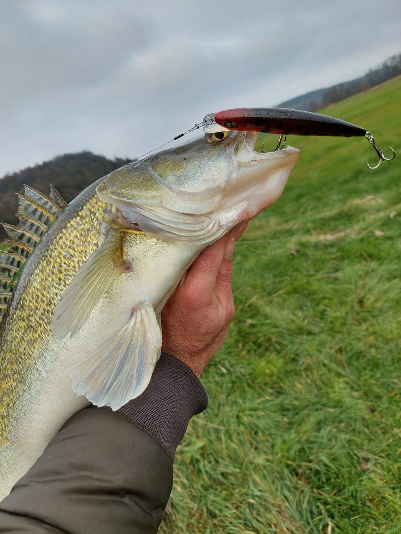 NEU! Mystery Raubfischbox - JETZT TESTEN! Absolut Spannend Für Jeden Raubfischangler! KEIN ABO! - PCT-fishing