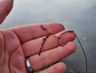 Bait Screw - 15 Stk. - PCT-fishing