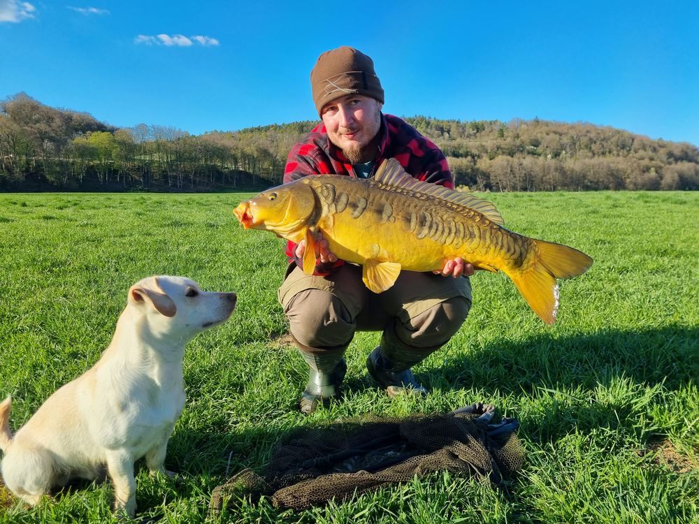 Short Session Boilie - STRAWBERRY - PCT-fishing