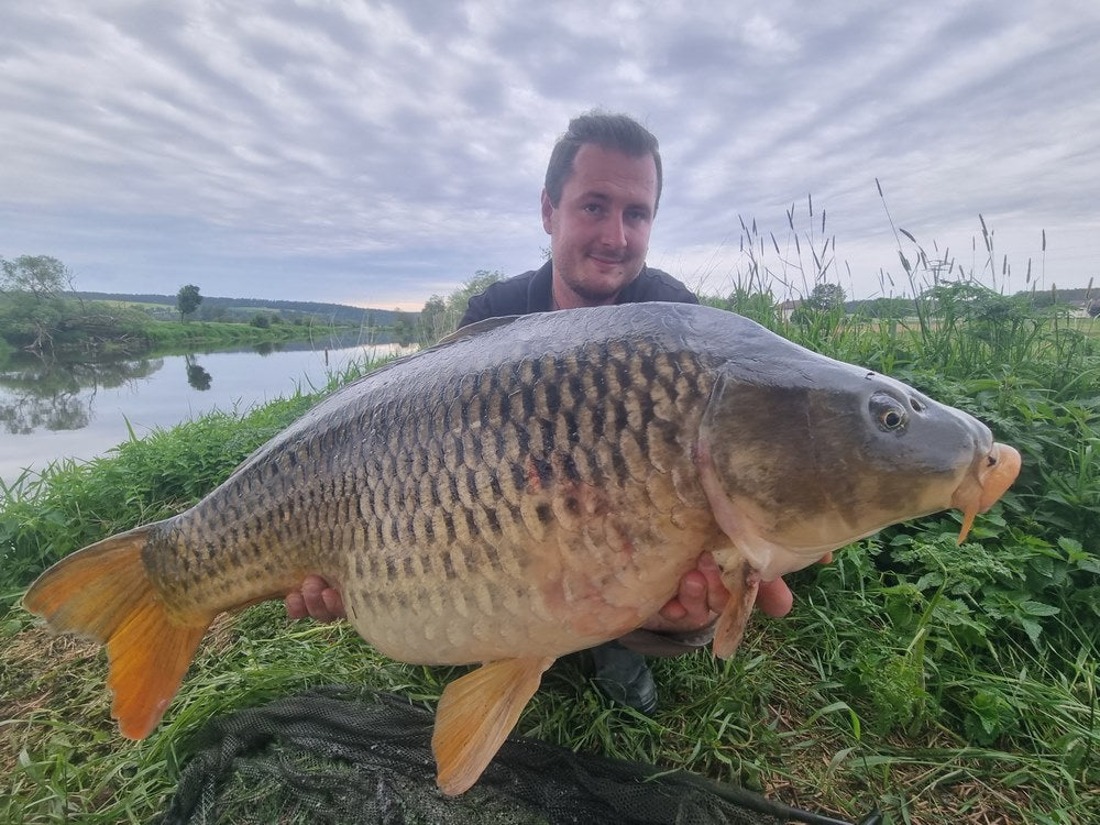 Long Session Boilie - NUTTY TWINS - PCT-fishing