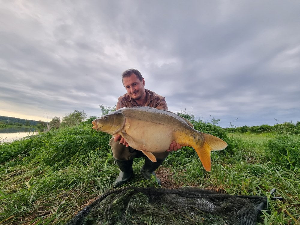 Short Session Boilie - GARLIC ROBIN RED - PCT-fishing