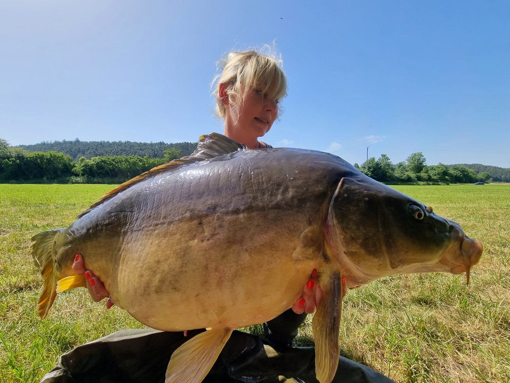 Short Session Boilie - STRAWBERRY - PCT-fishing