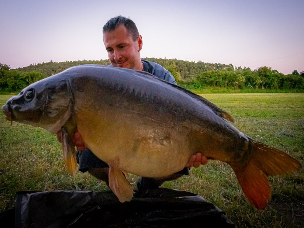 Short Session Boilie - MONSTERCRAB - PCT-fishing