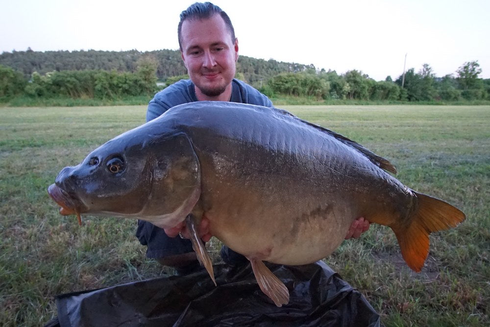 Long Session Boilie - HYPERLINK - PCT-fishing