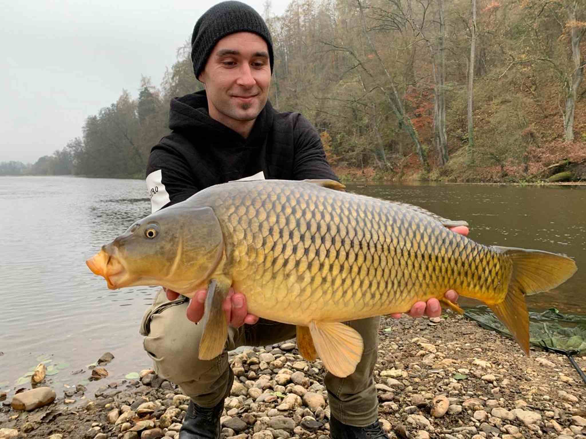 Long Session Boilie - CREAMY B.OCONUT - PCT-fishing