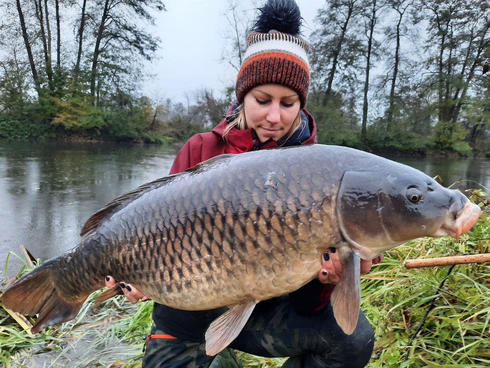 Short Session Boilie - MONSTERCRAB - PCT-fishing