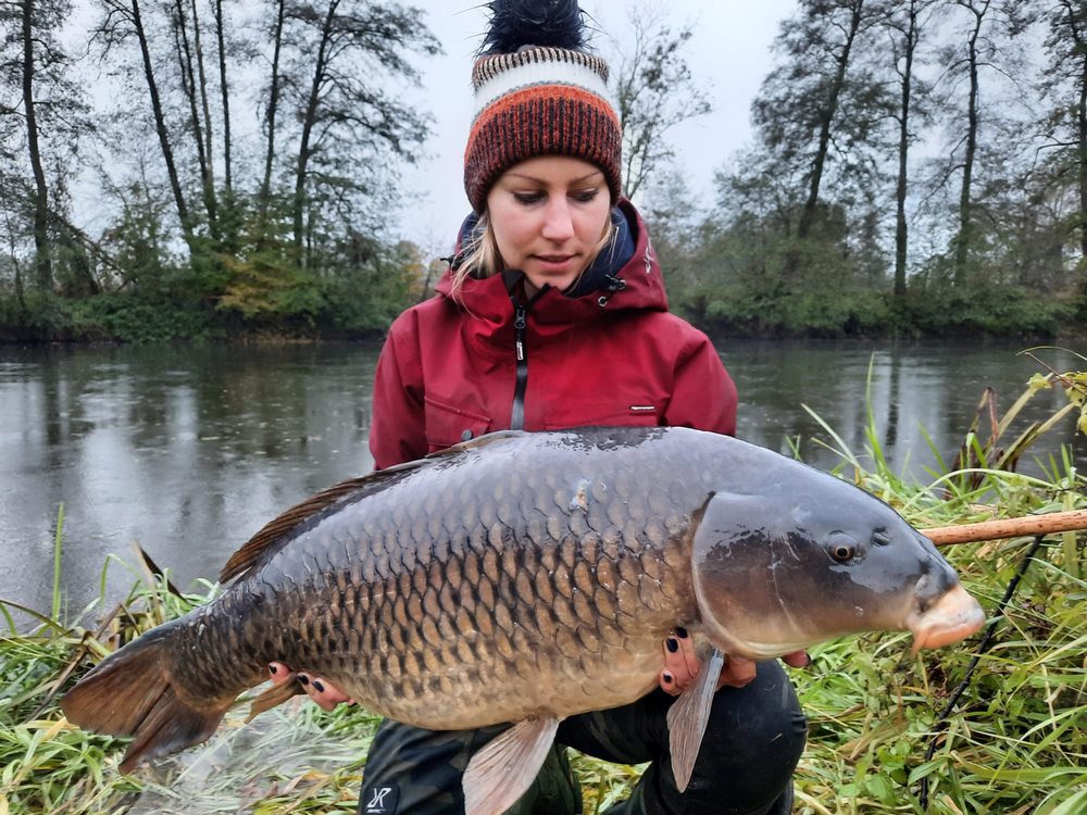 Long Session Boilie - NUTTY TWINS - PCT-fishing