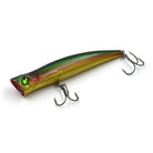 Popper MR. HOLISTER - 11,2cm - 22g - Floating - Hecht - PCT-fishing