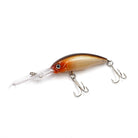 Wobbler BLAKE - 10cm - 8g - Floating - Hecht & Zander - PCT-fishing